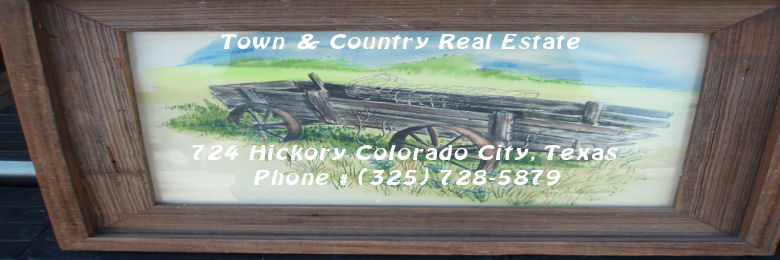 Town and Country Real Estate Logo