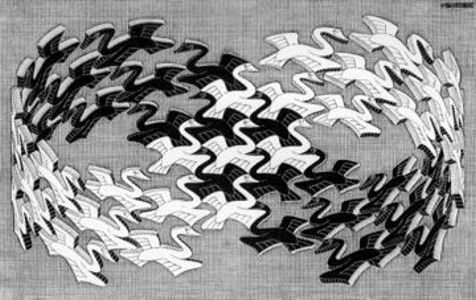 M.C. Escher Swans