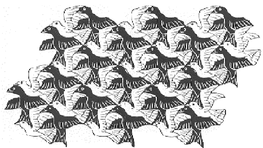 M.C. Escher Birds