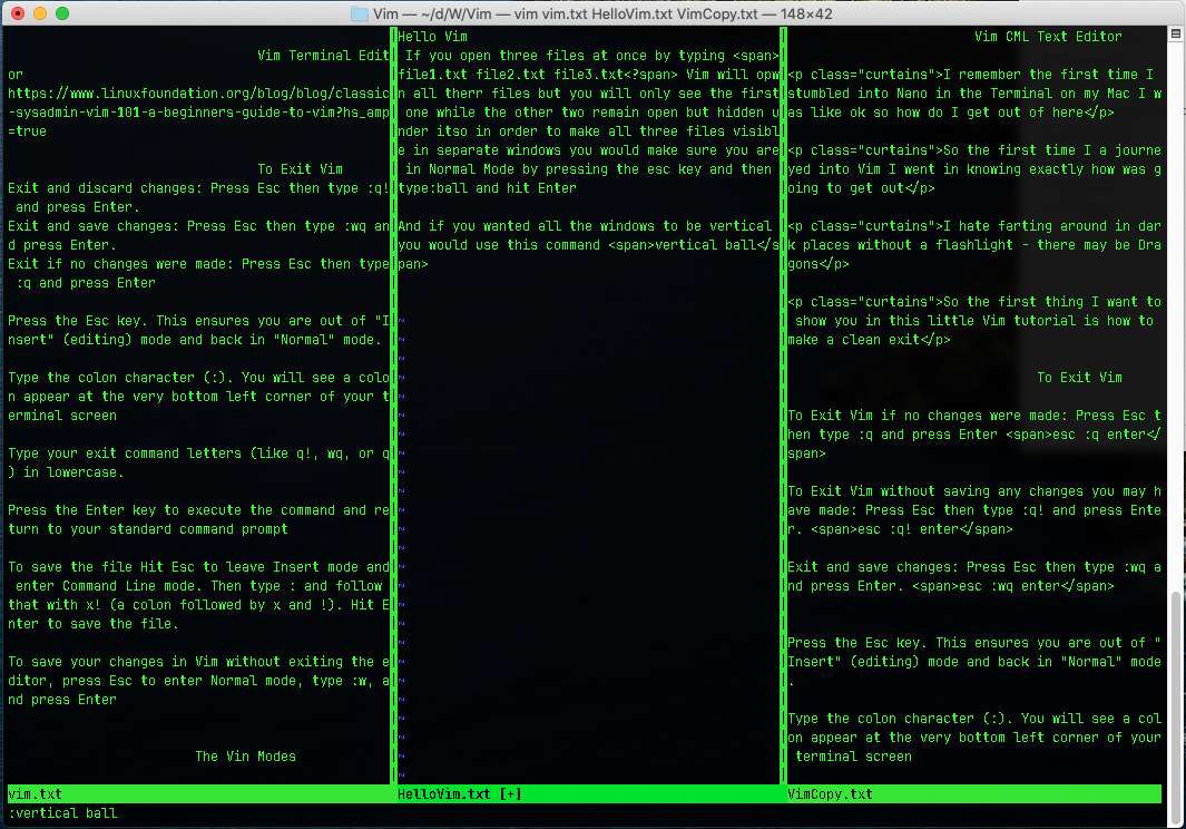 Vim page showing more than one window